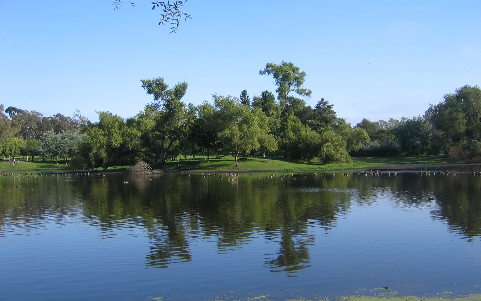 Central Park in Huntington Beach with trees and paths