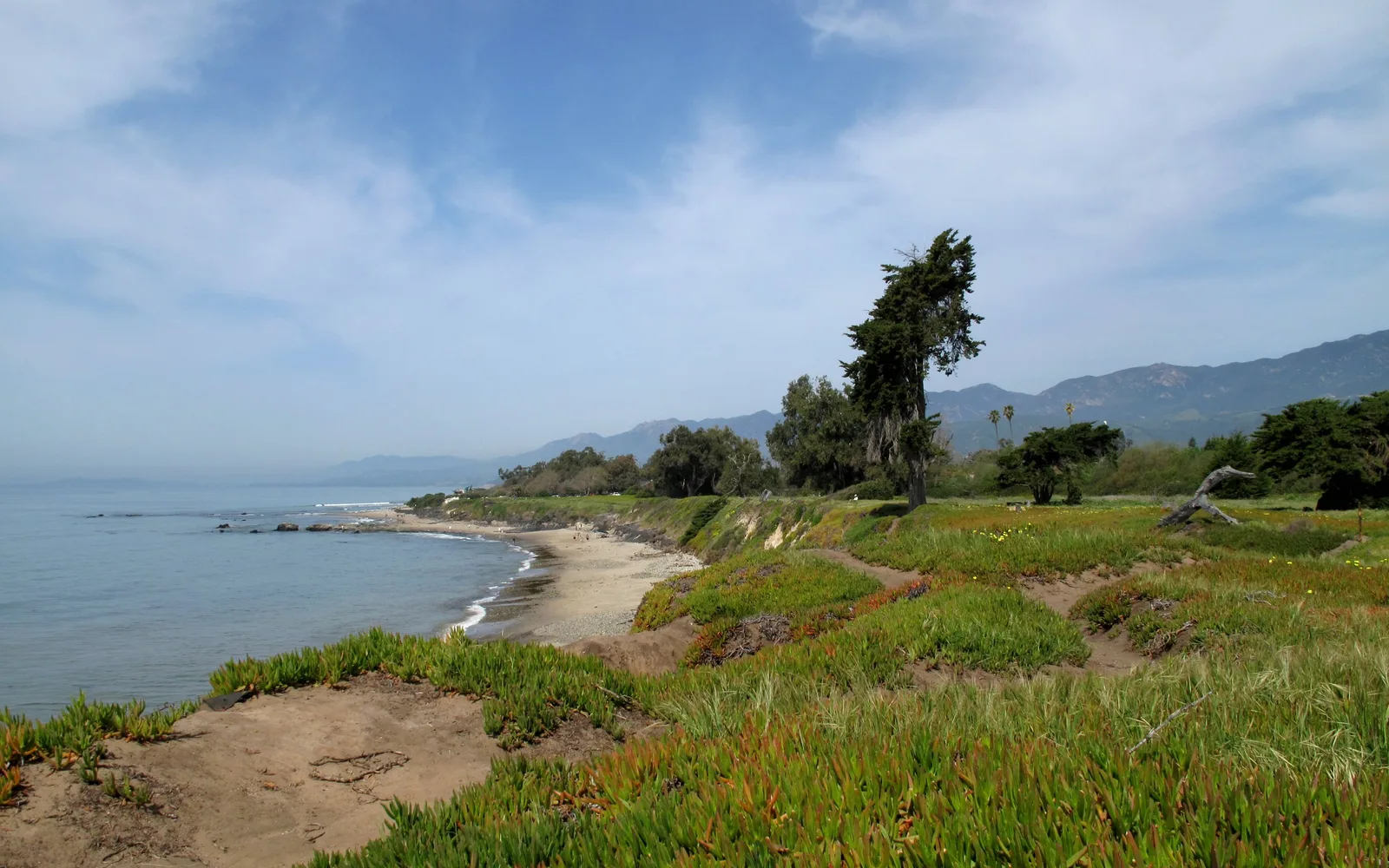 Carpinteria State Beach in California with sandy beach and coastal vegetation
